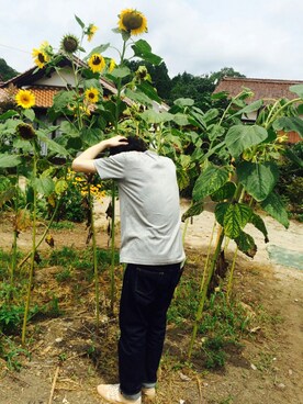 はうさんのコーディネート