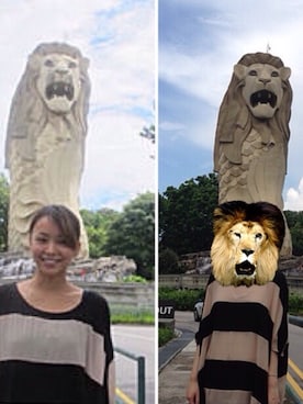 わんちゃんさんのコーディネート