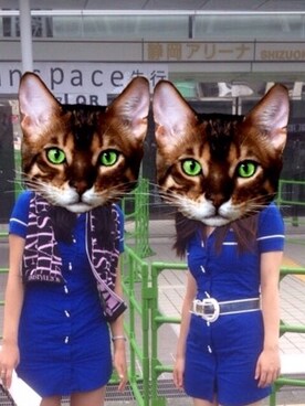 わんちゃんさんのコーディネート