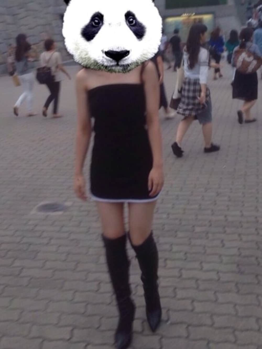 「LIVE STYLE 2014、SLY、COMEX」｜「SLYのアイテム（ワンピース、ブラック系）」を使った、わんちゃんさん（レディース・160cm）の秋コーディネートの1枚目の写真
