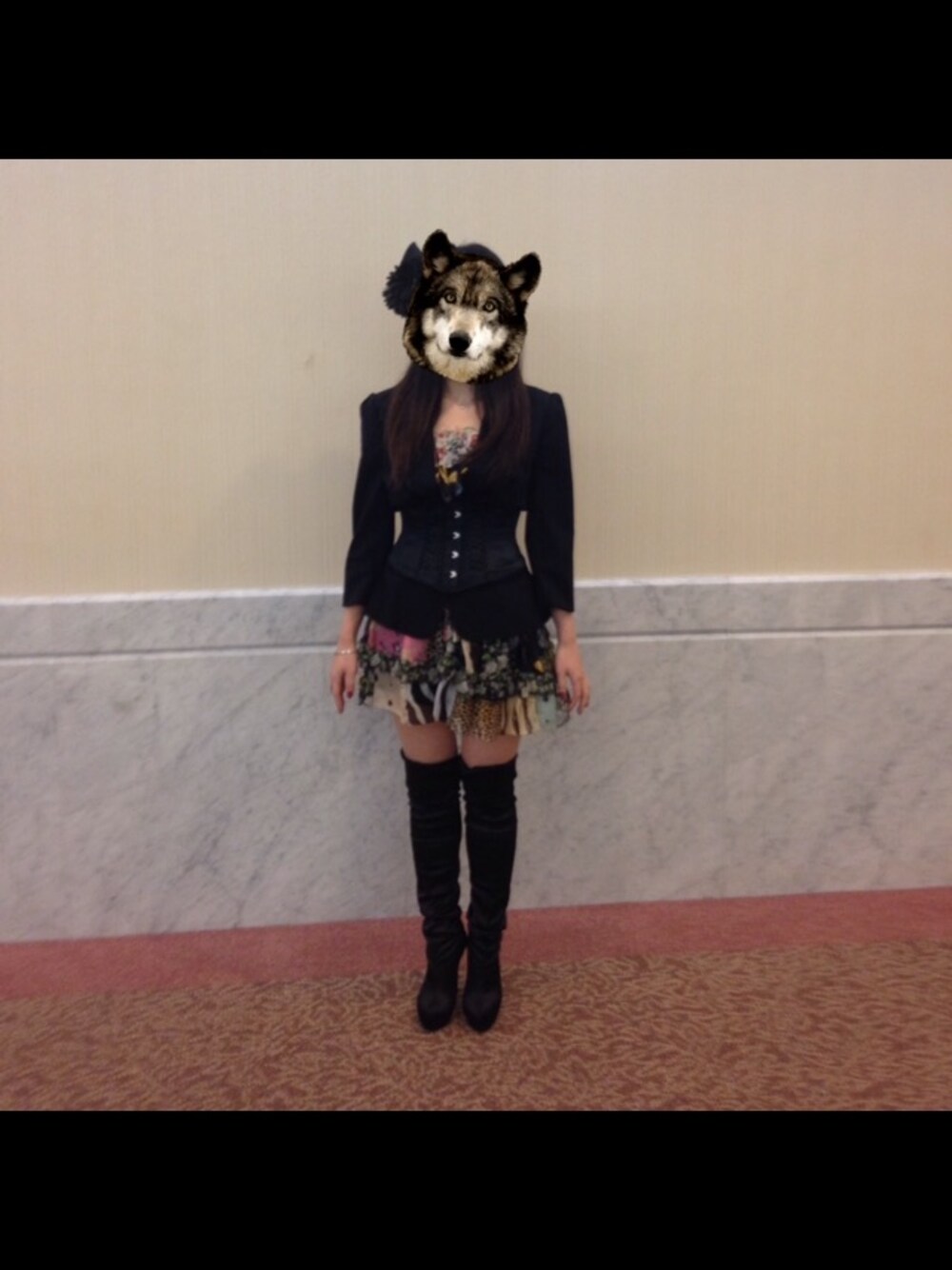 「VMAJ、アスティとくしま、LIVE STYLE 2014」｜「D&Gのアイテム（ドレス、その他）」を使った、わんちゃんさん（レディース・160cm）の秋コーディネートの1枚目の写真