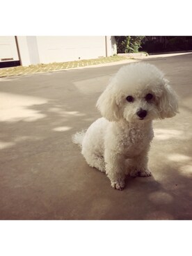 si茜茜siさんのコーディネート