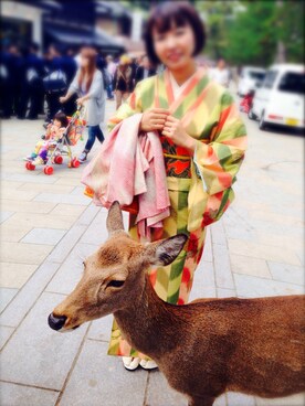 お千代さんのコーディネート