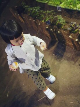 明朗少女芥末芥さんのコーディネート