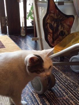 reika☺︎さんのコーディネート