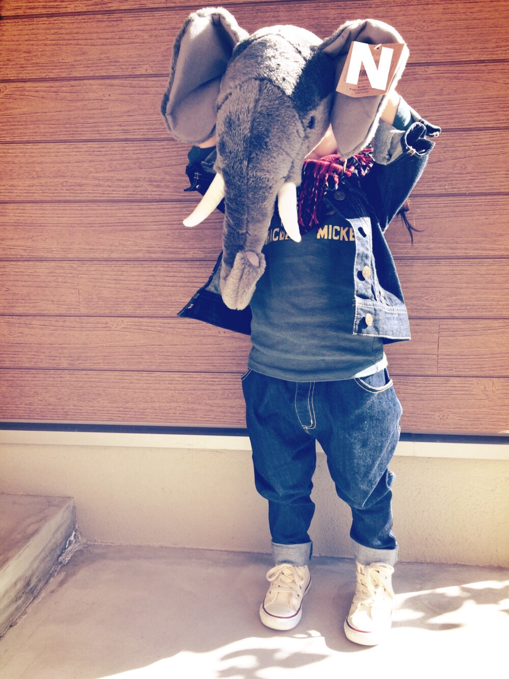 「デニムオンデニム、デニデニ、ゾウ、赤チェック」｜「DENIM DUNGAREEのアイテム（Tシャツ/カットソー、グリーン系）」を使った、nicoさん（キッズ・90cm）の冬コーディネートの1枚目の写真