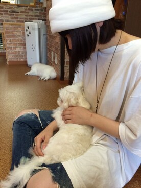 おまゆさんのコーディネート