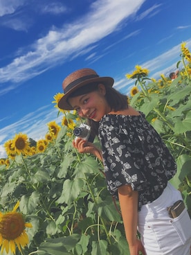 佐藤葵さんのコーディネート