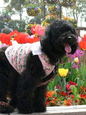 tsubasa.kさんのコーディネート