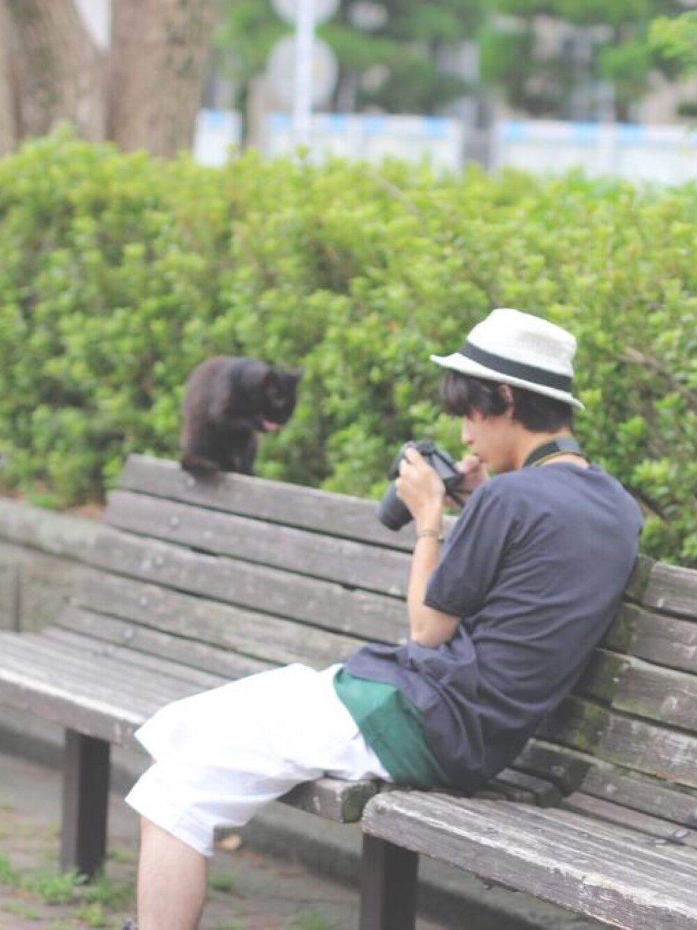 「外撮り、MHL.、カメラ、猫、夏、白パンツ、ショーパン、チャコールグレー」｜「MHL.のアイテム（Tシャツ/カットソー、グレー系）」を使った、k o t a . さん（メンズ・167cm）の春コーディネートの1枚目の写真