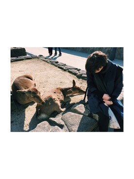 HARUNAさんのコーディネート