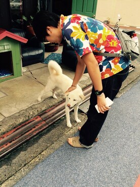 「JANTZEN（ジャンセン）のアイテム」を使った、ゆうきさん（メンズ・173cm）の春コーディネート