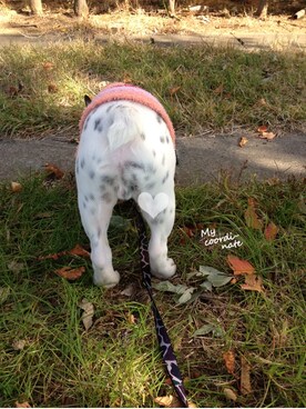 otiyoさんのコーディネート