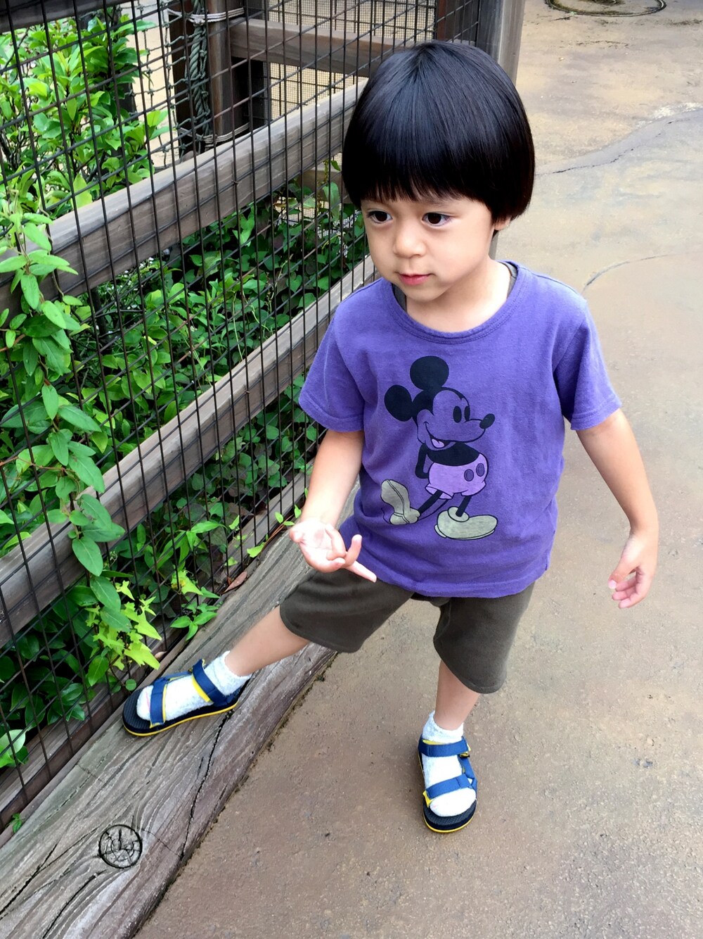 「ディズニーシー」｜「SmoothyのSmoothy Raffi MICKEY Tee / スムージー ラフィーミッキーTシャツ Disney（ディズニー）（Tシャツ/カットソー、パープル系）」を使った、komako77さん（キッズ・100cm）の夏コーディネートの1枚目の写真
