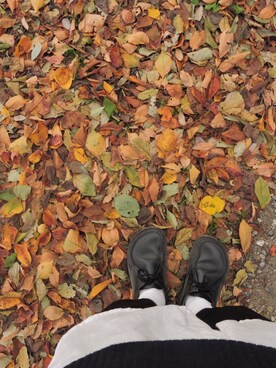 もーとさんのコーディネート