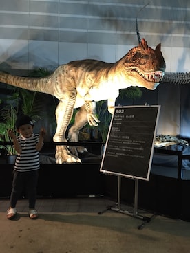 kiyoさんのコーディネート