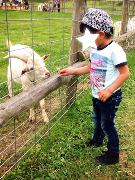 Aaaa.☆さん（キッズ・100cm）の夏コーディネート