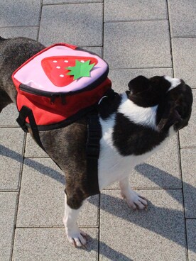 쇼핑가자 왕지혜さんのコーディネート