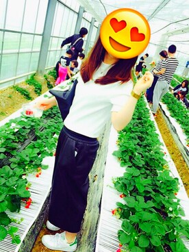 aさんのコーディネート