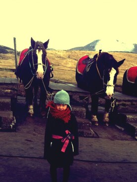 minoさんのコーディネート