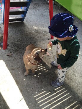 「green label relaxing（グリーンレーベルリラクシング）の【KIDS】GLRスターシシュウ3ウェイハットtvl206◆（ハット、ブルー系）」を使った、ーtsukーさん（キッズ）の春コーディネート