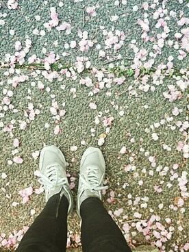 かもめさんのコーディネート