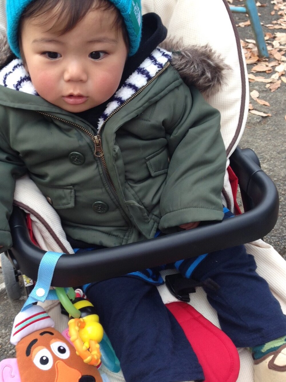 「THE NORTH FACE、ニット帽、カーキアウター、しまむら×チャンピオン、パーカー、息子、プチプラ、動物園」｜「THE NORTH FACEのザ・ノース・フェイス　キッズロゴニットキャップ　/　カプッチョリッド（ニットキャップ/ビーニー、ブルー系）」を使った、hibooouさん（キッズ・90cm）の冬コーディネートの1枚目の写真