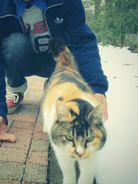 sizeさんのコーディネート