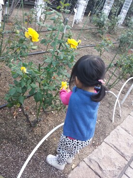 ルナルナさんのコーディネート