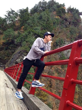 大猩猩(ゴリラ)さんのコーディネート