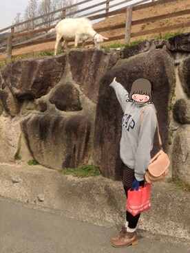 しらたま◎さんのコーディネート