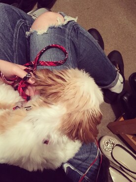 おたかさんのコーディネート