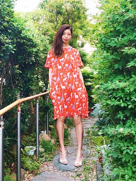 かもさんさんのコーディネート