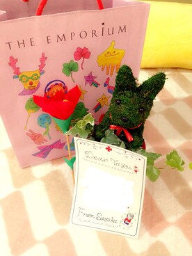 kiworuさんのコーディネート