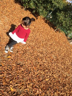 SANAさんのコーディネート