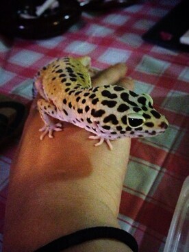 緑川  まりさんのコーディネート