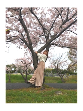 柳本 ミサトさんのコーディネート