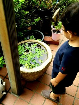 hanasakuさんのコーディネート