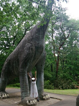 yyyさんのコーディネート