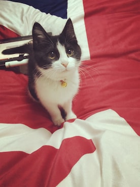 阿宝酱さんのコーディネート