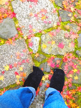 かわの みさとさんのコーディネート