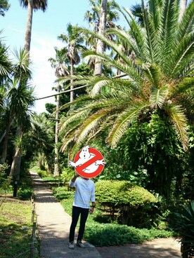 やしやさんのコーディネート