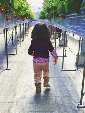 sayucoさんのコーディネート