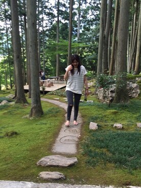 トラさんのコーディネート