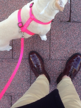 babrusさんのコーディネート