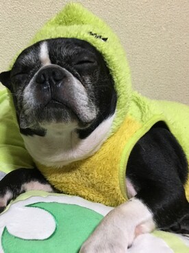 「アイテム（その他）」を使った、juさん（メンズ・50cm）の冬コーディネート