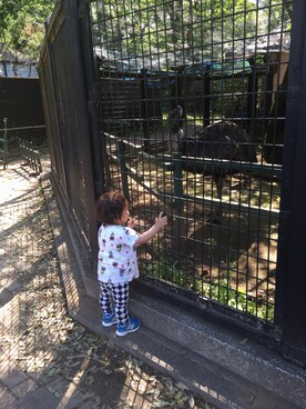 Megumi Khさんのコーディネート