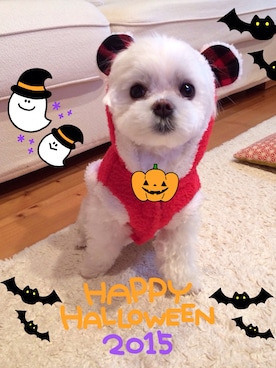 yuriさんのコーディネート