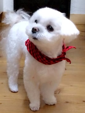 「トリミング」｜yuriさん（レディース・168cm）の秋コーディネート