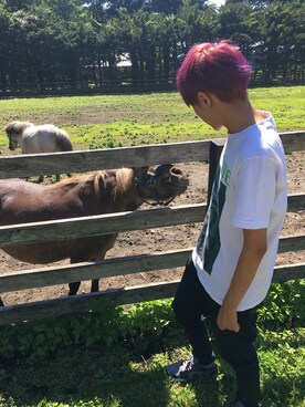 「THE TEST（ザ テスト）のアイテム（パンツ）」を使った、よしこさん（メンズ・170cm）の夏コーディネート